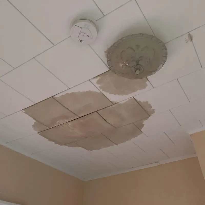 Ceiling Water Damage Repair in Randolph, NY