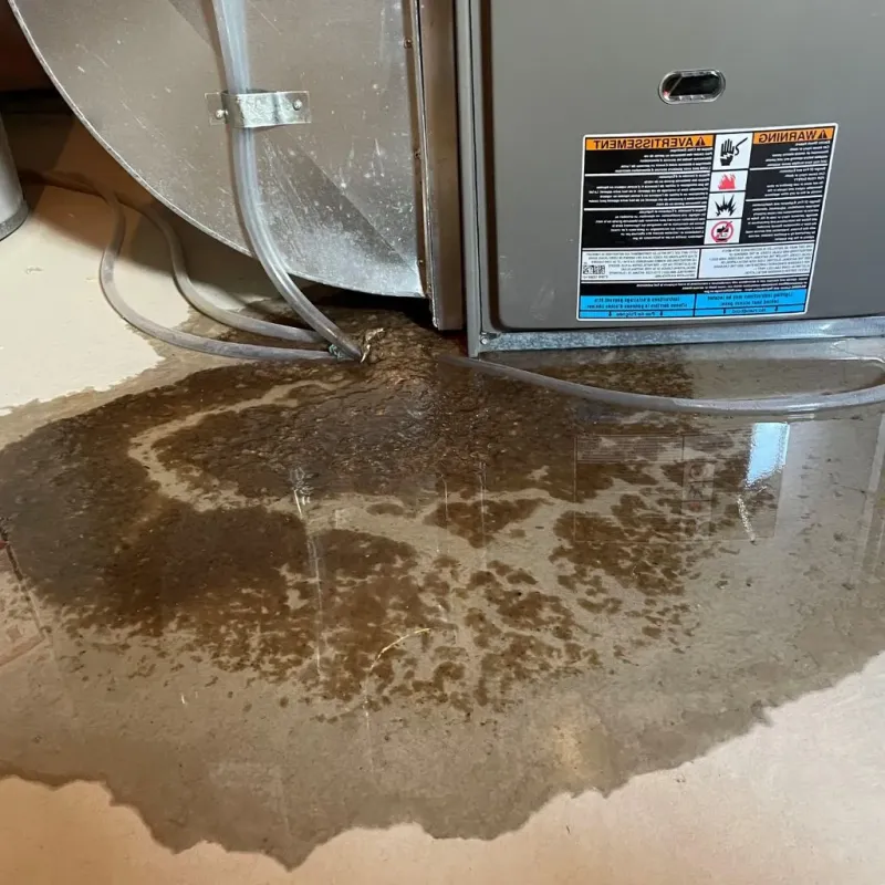 Pipe Burst and Leak Restoration in Randolph, NY