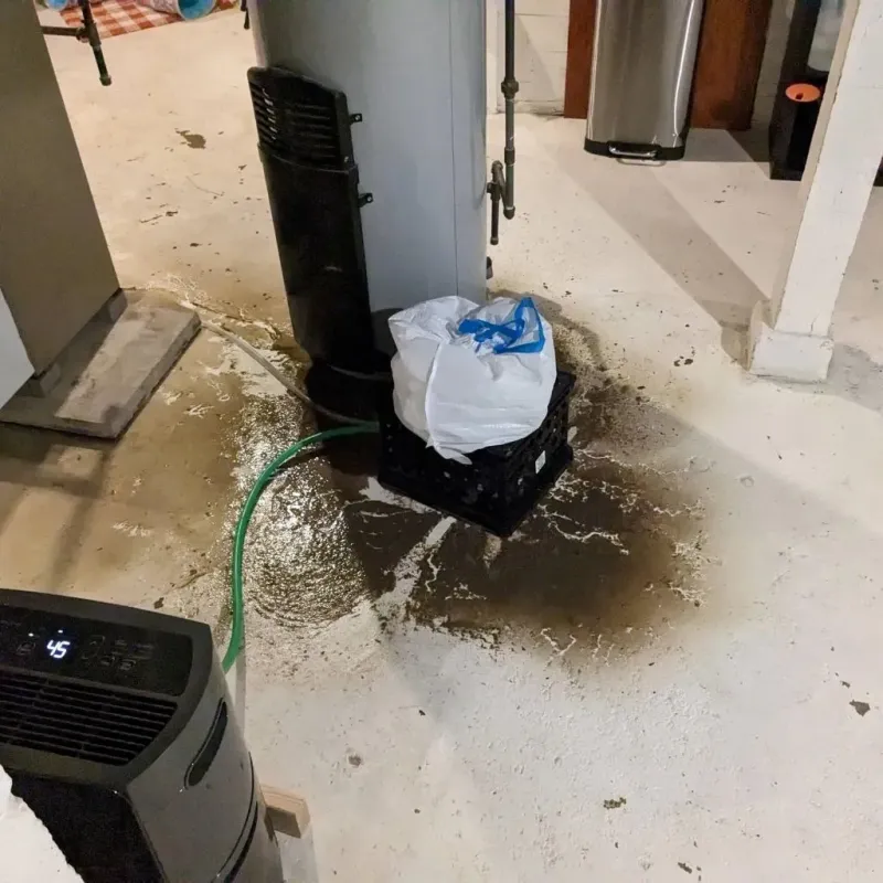 Sewage Backup Cleanup Service in Randolph, NY